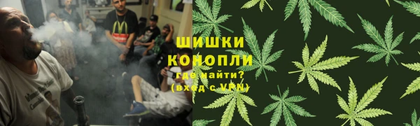 MESCALINE Аркадак