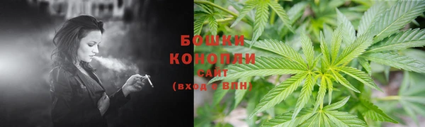 крисы Арсеньев
