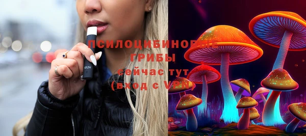 MESCALINE Аркадак